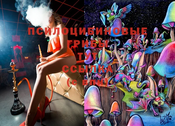 2c-b Каменск-Шахтинский