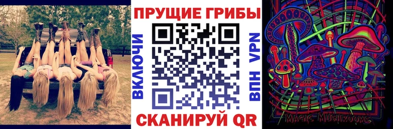Галлюциногенные грибы Cubensis  где найти   Лангепас 